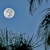 view of full moon over san pedro